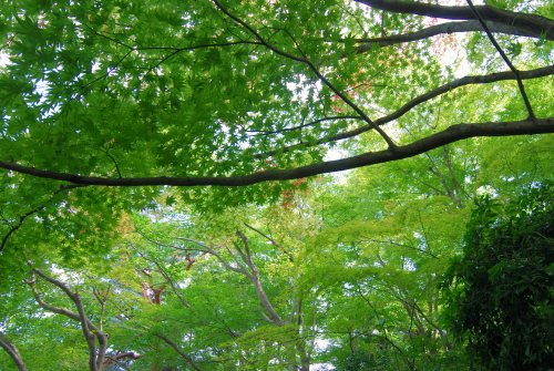 京都嵐山・大河内山荘 庭園１