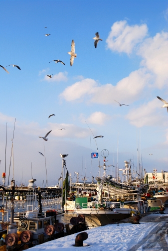 函館・漁港の風景